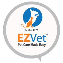 About affordable veterinary clinic