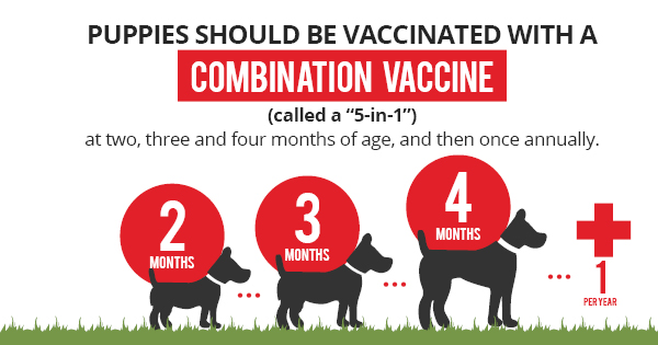 vaccination recommendations