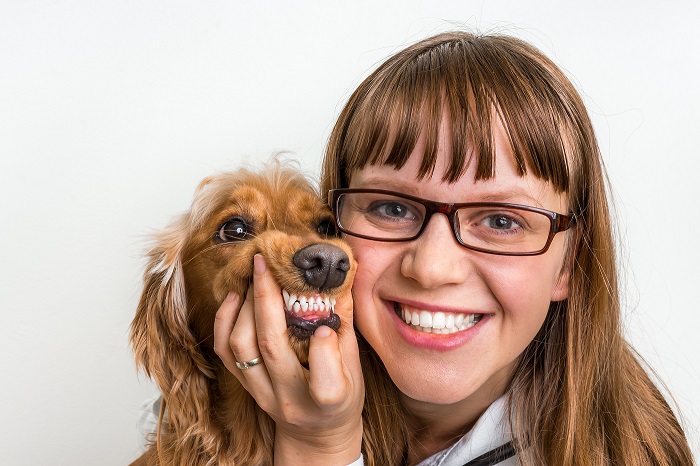 Funny smiling dog and veterinarian in veterinary clinic - animal and pet veterinary care concept